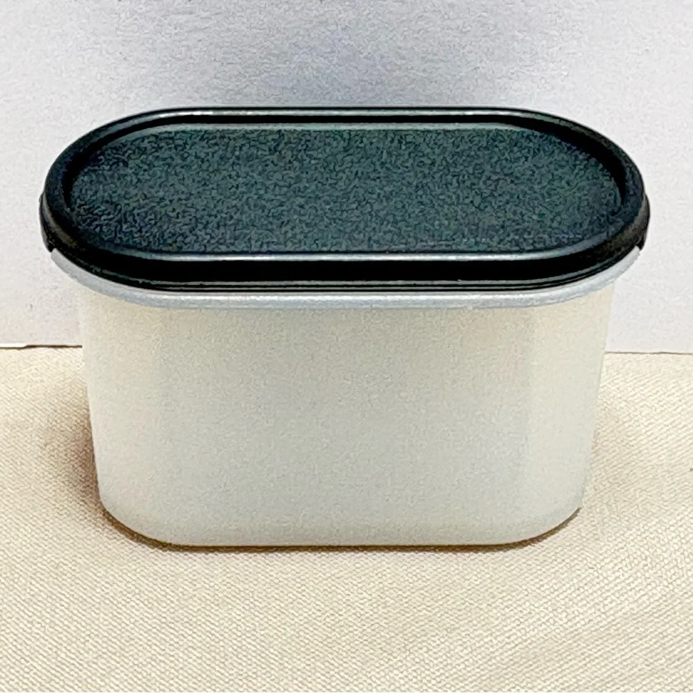 Tupperware Mini Modular Mates Oval with Black Lid magnet